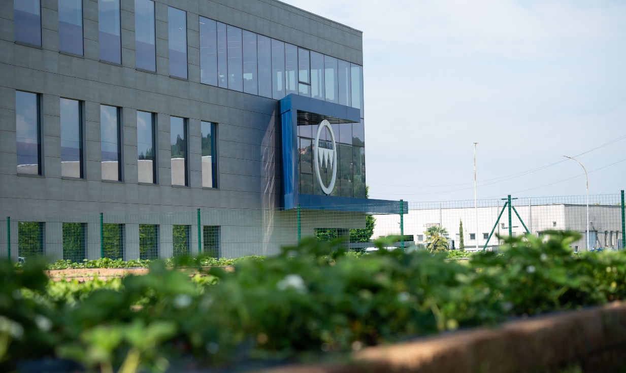 1233x735-Sustainability-Governance